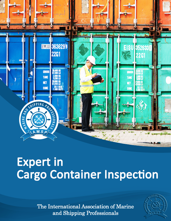 Expert in Cargo Container Inspection