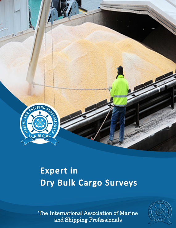 Expert in Dry Bulk Cargo Surveys