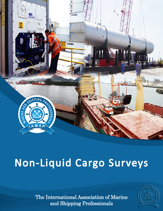 Non Liquid Cargo Surveys