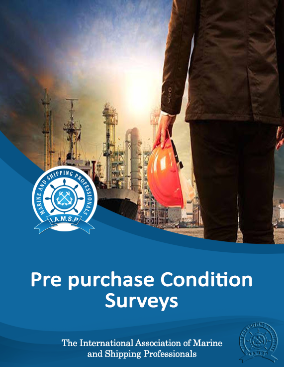 Pre-purchase Condition Surveys