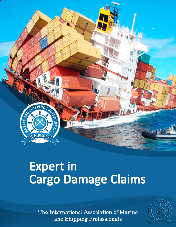 Expert in Cargo Damage Claims