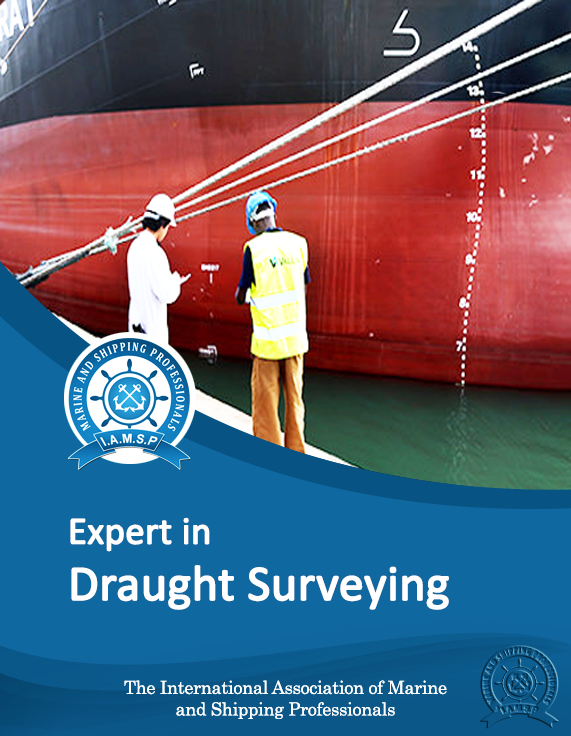 Expert in Draught Surveying