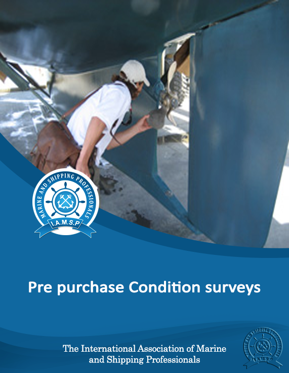 Pre-purchase Condition Surveys 